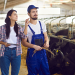 Dve osebi, ena s beležko in druga v delovnih oblačilih, stojita v hlevu za govedo in razpravljata ob prisotnosti krav.