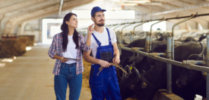 Dve osebi, ena s beležko in druga v delovnih oblačilih, stojita v hlevu za govedo in razpravljata ob prisotnosti krav.